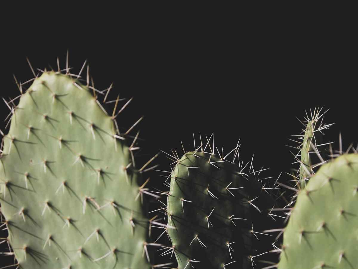 Terug van weggeweest